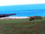 Bermuda - Fort St Catherine