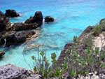 Bermuda Horseshoe Cove