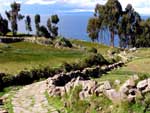 Peru - Lake Titicaca Island
