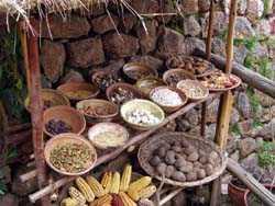 Peru Potatos and Beans