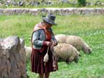 Peruvian Woman