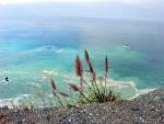 Big Sur Plumes