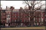 Boston Rowhouses