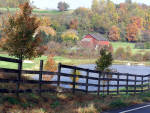 Brandywine Countryside