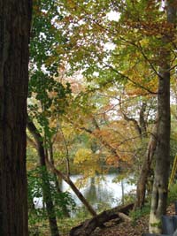 Brandywine Creek