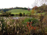 Brandywine Landscape