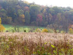 Brandywine Landscape