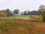 Brandywine - Longwood Gardens Meadows