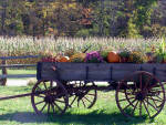 Brandywine Farm Produce