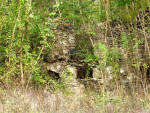 Brandywine Ruins