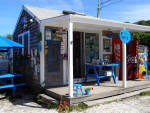 Martha's Vineyard- Menemsha - The Bite