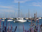 Martha's Vineyard - Vineyard Haven Harbor