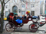 New York City - Carriage Ride in Central Park