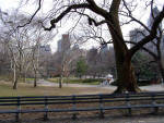 New York City - Central Park