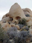 Joshua Tree - Skull Rock