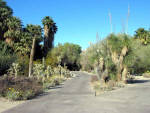 Living Desert