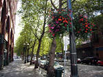 Seattle - Pioneer Square