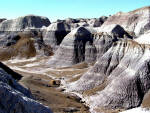 Petrified Forest - Blue Mesa