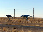 Velociraptor Dinosaurs near Holbrook, AZ