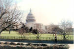 Washington DC - Capitol Building