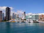 Chicago Navy Pier