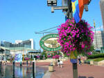 Baltimore Inner Harbor